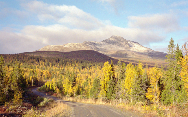19950925_2Ny.jpg