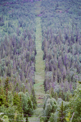 19960803_7.jpg