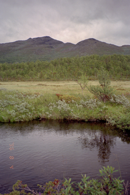 19960804_4Ny.jpg