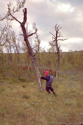 19960920_15.jpg