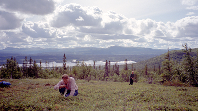 19980811_001.jpg
