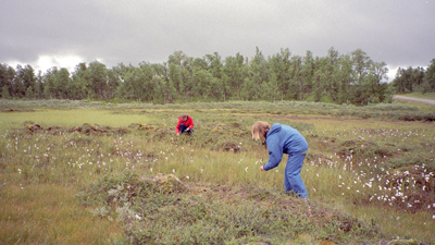 19980812_007.jpg