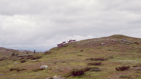 19980813_002.jpg