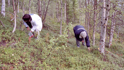 20000906_10.jpg