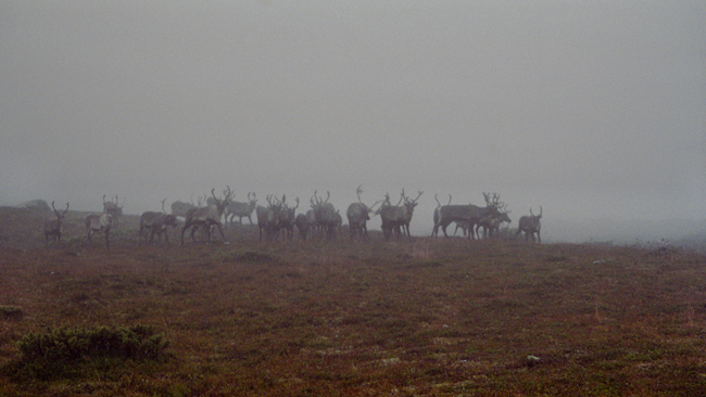 20000907_11.jpg