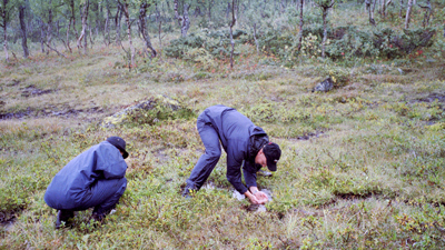 20010826_1.jpg