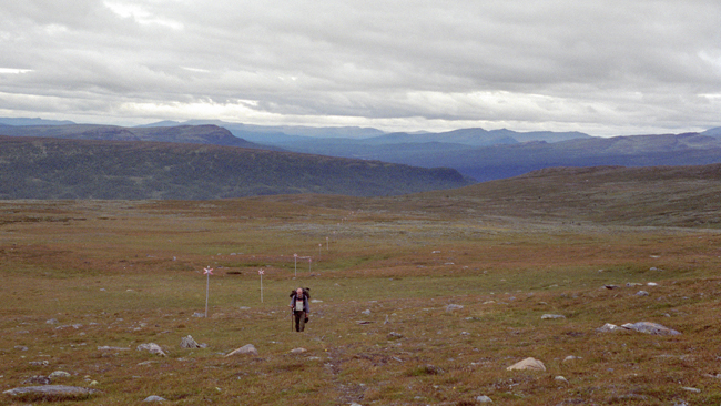 20010827_7Ny.jpg