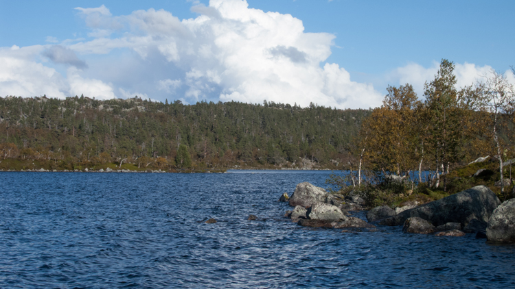 20110822_043.jpg