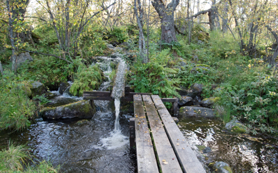 20110822_053.jpg