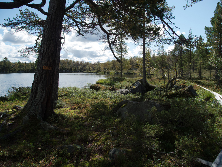 20110823_005.jpg