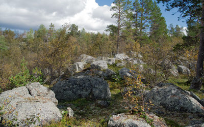 ©Leif Kennerberg 20110823_022.jpg