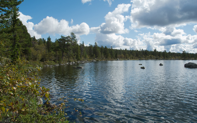 20110823_023.jpg