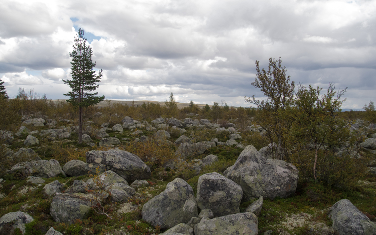 20110823_038.jpg
