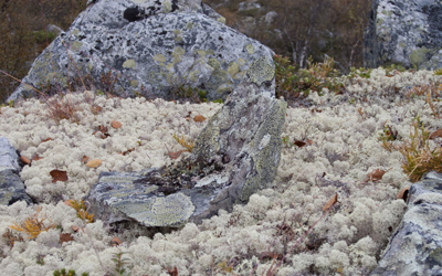 20110823_040.jpg