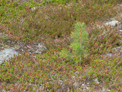 20110824_022.jpg