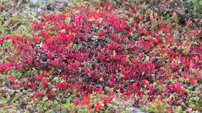 20140922_013.jpg