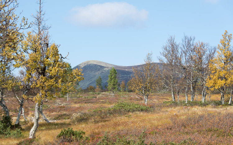 20140922_032.jpg