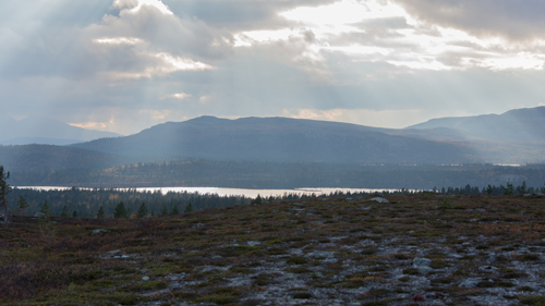 20140922_047A.jpg