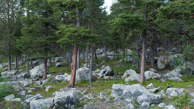 20120801_025.jpg