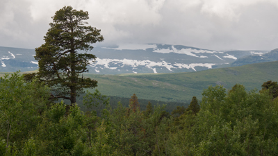 20120801_025.jpg