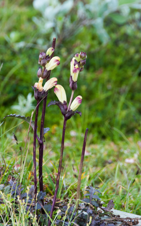 20120802_028.jpg