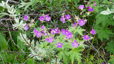 20120803_004.jpg