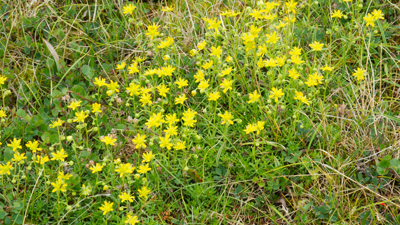 20120803_005.jpg