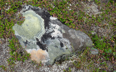 20120803_015.jpg