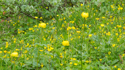 20120803_027.jpg