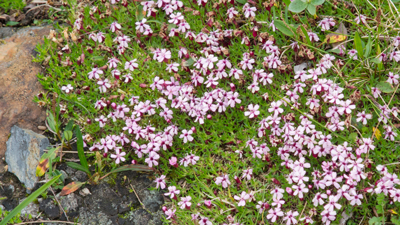 20120803_034.jpg