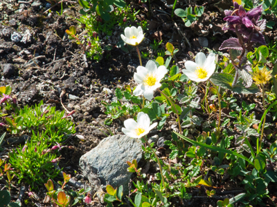 20120804_035.jpg