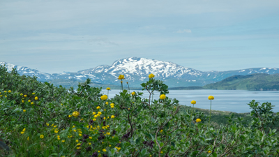 20120804_039.jpg