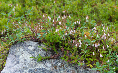 20120807_025.jpg