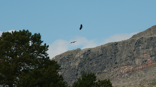 20120808_047.jpg