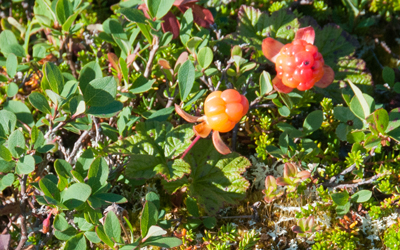 20120808_075.jpg