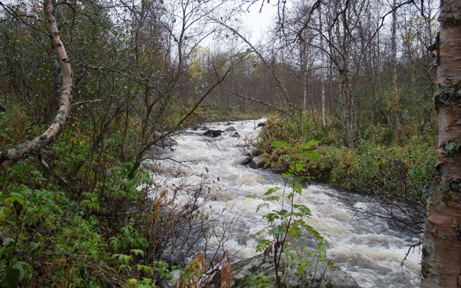 20110920_017.jpg