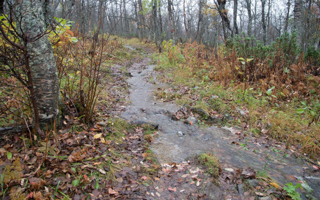20110920_018.jpg