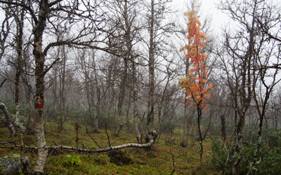 20110920_021.jpg