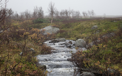 20110920_028.jpg