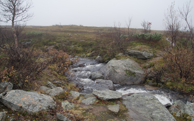 20110920_029.jpg