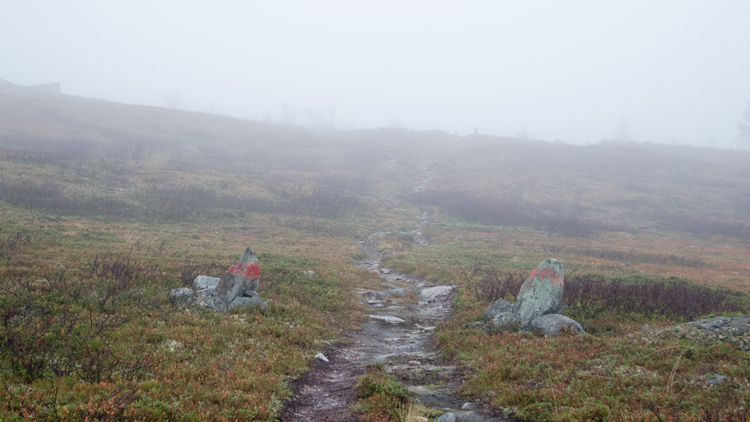 20110920_031.jpg
