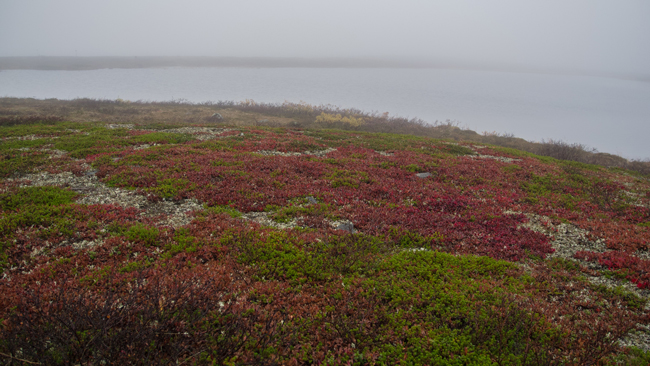 20110920_040.jpg