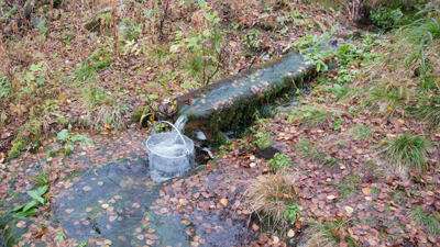 20110920_052.jpg