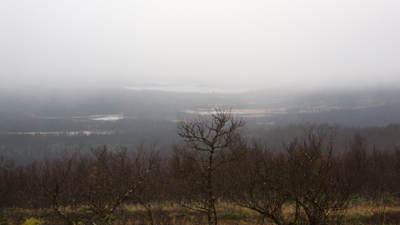 20110921_005.jpg