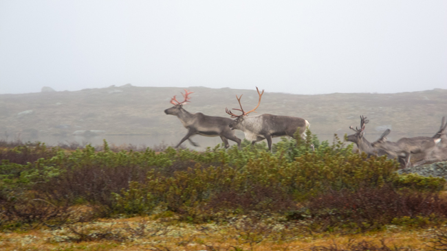 20110921_016.jpg