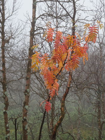 20110921_042A.jpg