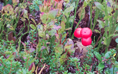 20110921_044.jpg