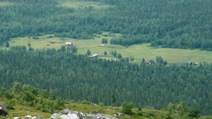20090725_025.jpg
