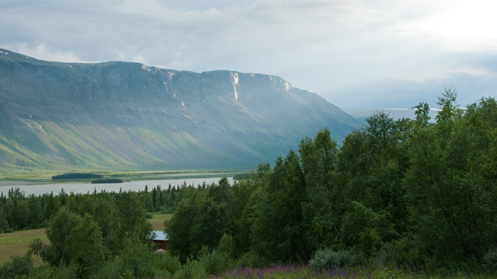 20090725_060.jpg