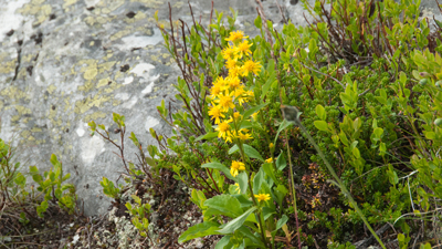 20090726_055.jpg